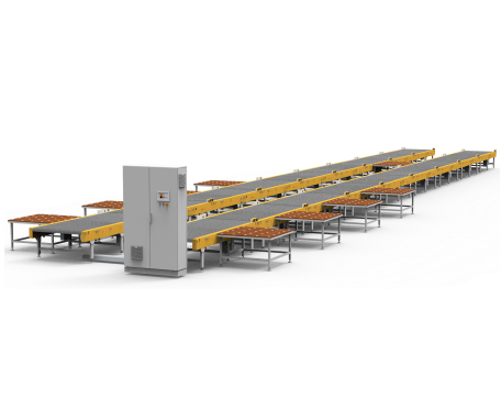 Baldų surinkimo linija...