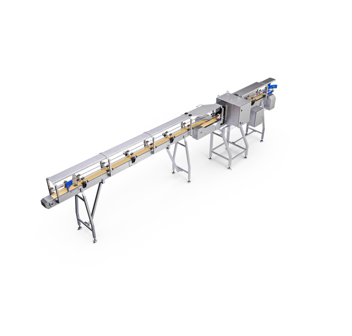 Konvejeris su metalo detektoriumi